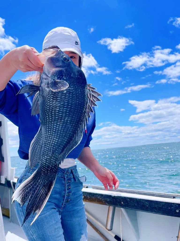 Guest holding a black sea bass caught aboard the PESCE on a bright Cape Cod day